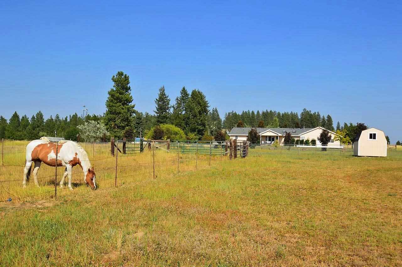 23407 North Hatch Road Colbert, WA 99005 - Photo 18 of 20
