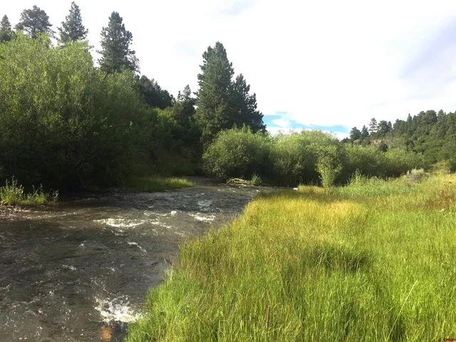 $220,000 | 2 A West Beaver Pines Loop, Norwood, CO 81423