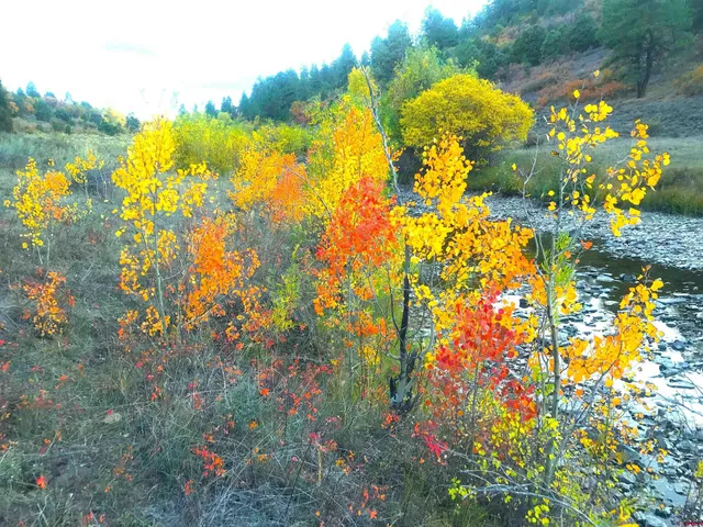 $220,000 | 2 A West Beaver Pines Loop, Norwood, CO 81423