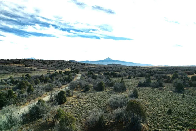 $220,000 | 2 A West Beaver Pines Loop, Norwood, CO 81423