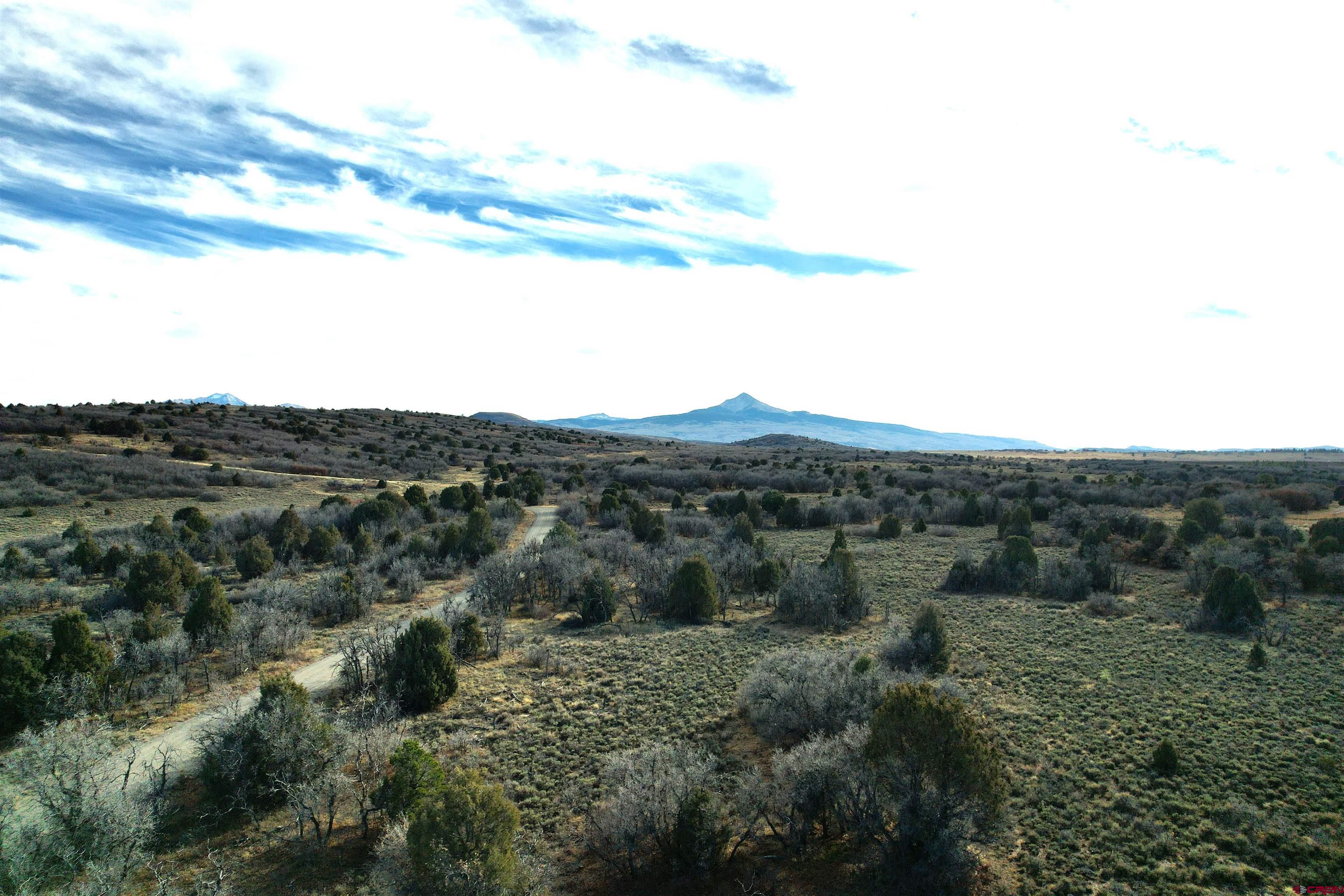 2 A West Beaver Pines Loop Norwood, CO 81423 - Photo 12 of 38 a view of a bunch of trees in a field