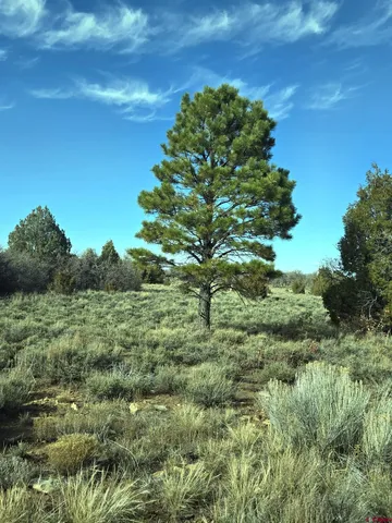 $220,000 | 2 A West Beaver Pines Loop, Norwood, CO 81423