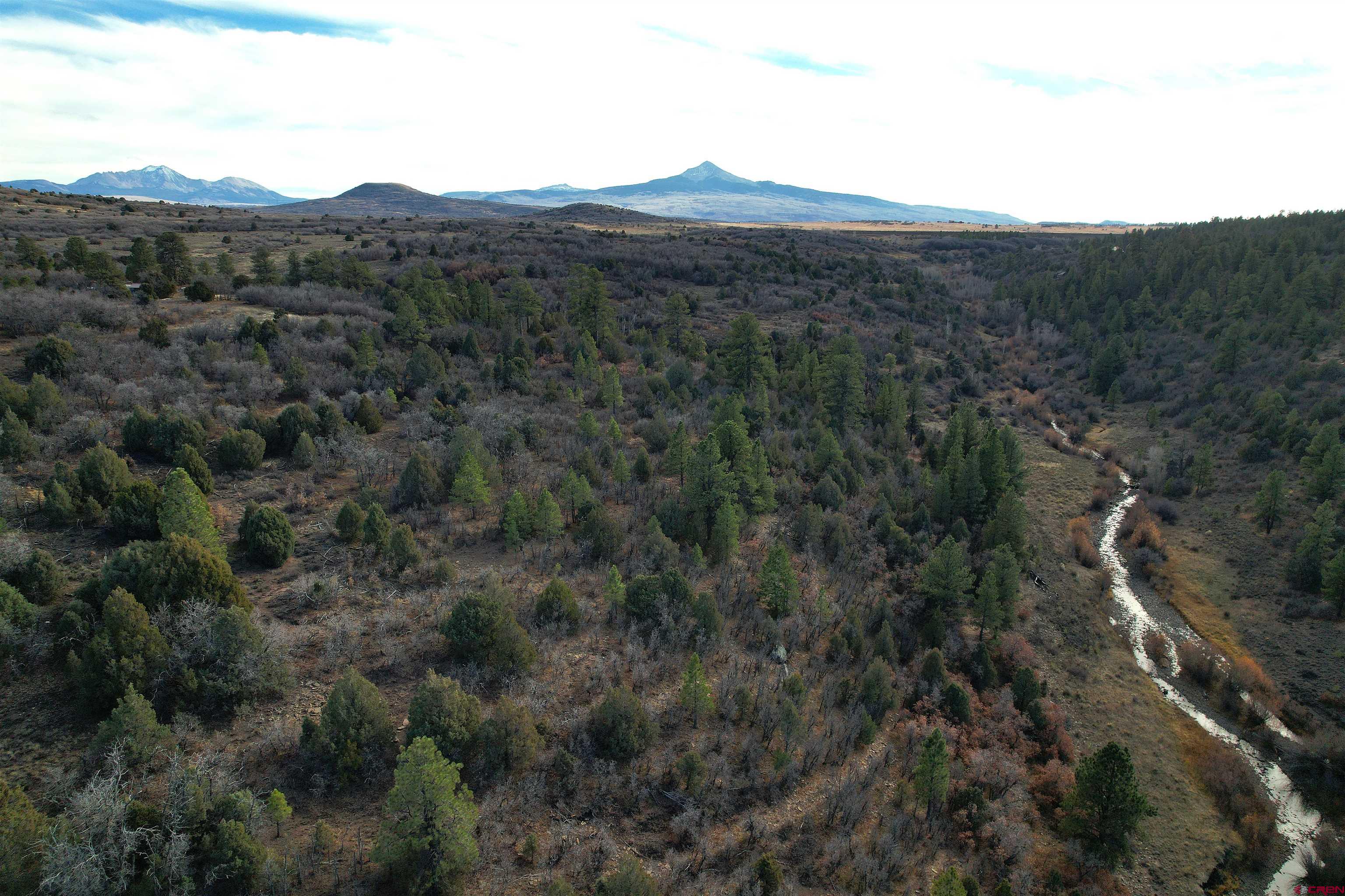 2 A West Beaver Pines Loop Norwood, CO 81423 - Photo 14 of 38 a view of a city with lush green forest