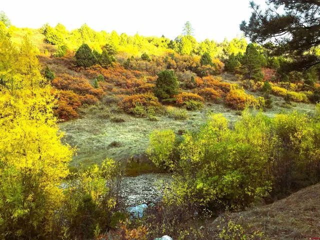 $220,000 | 2 A West Beaver Pines Loop, Norwood, CO 81423