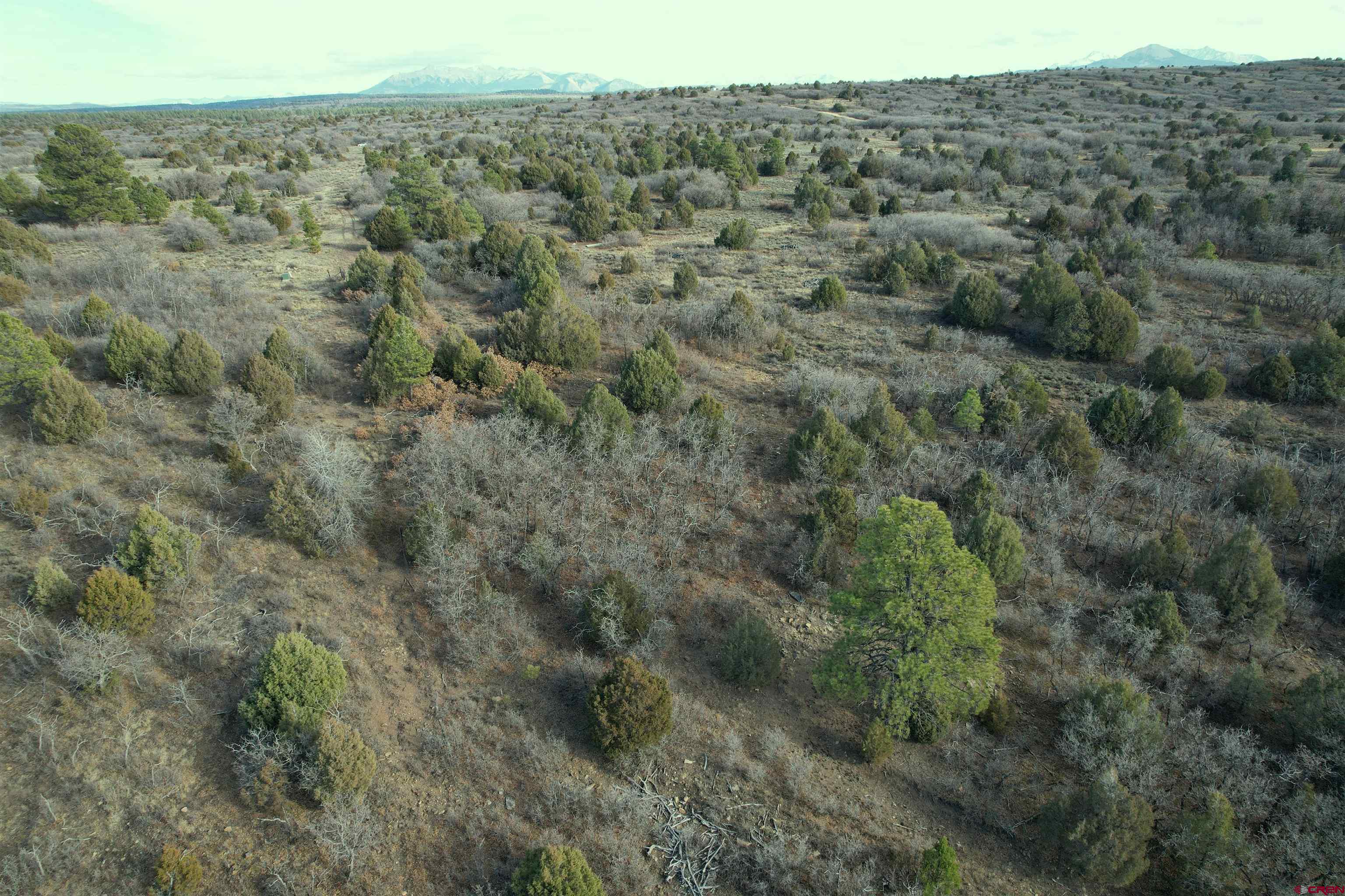 2 A West Beaver Pines Loop Norwood, CO 81423 - Photo 16 of 38 an aerial view of forest