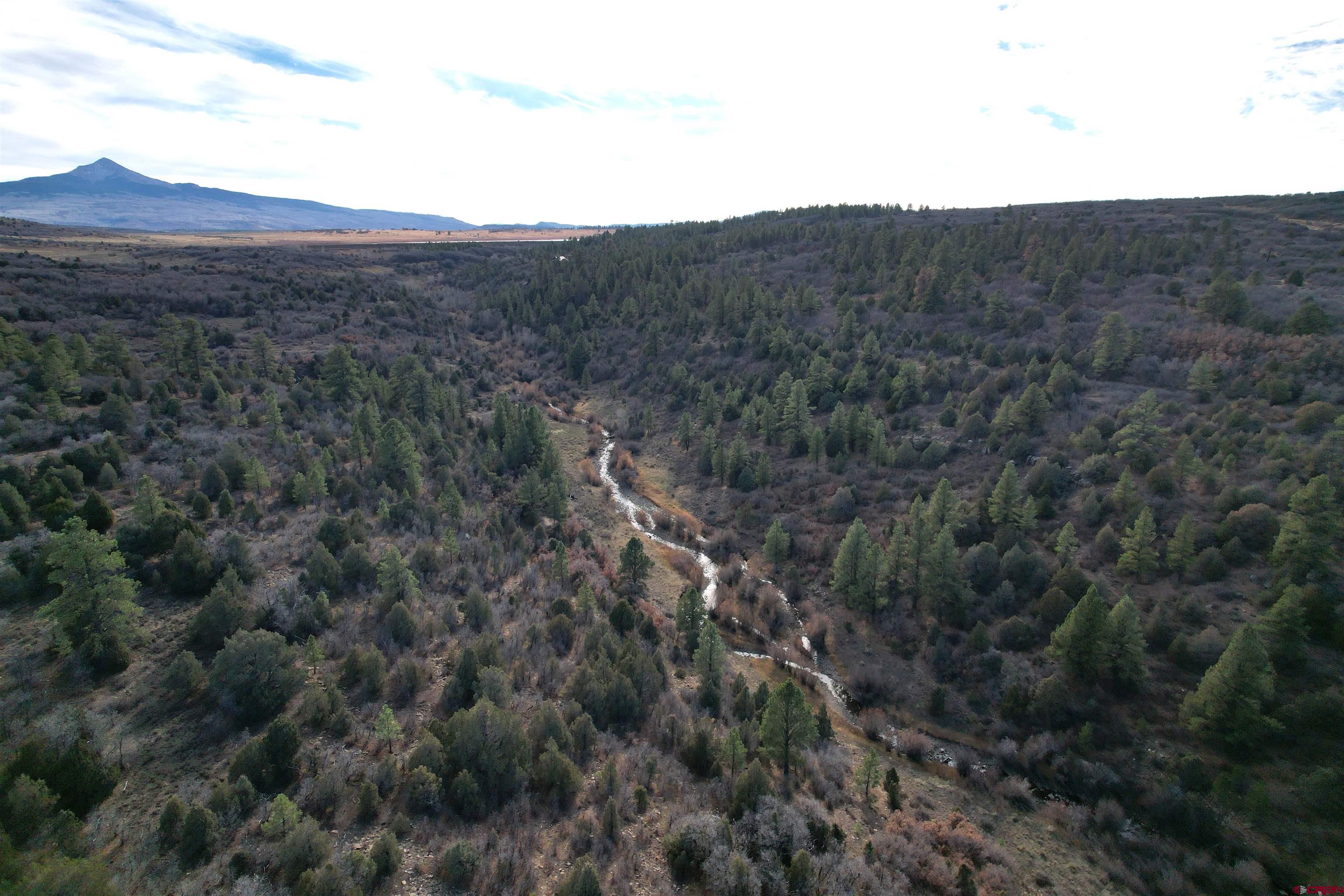 2 A West Beaver Pines Loop Norwood, CO 81423 - Photo 17 of 38 a view of a dry yard