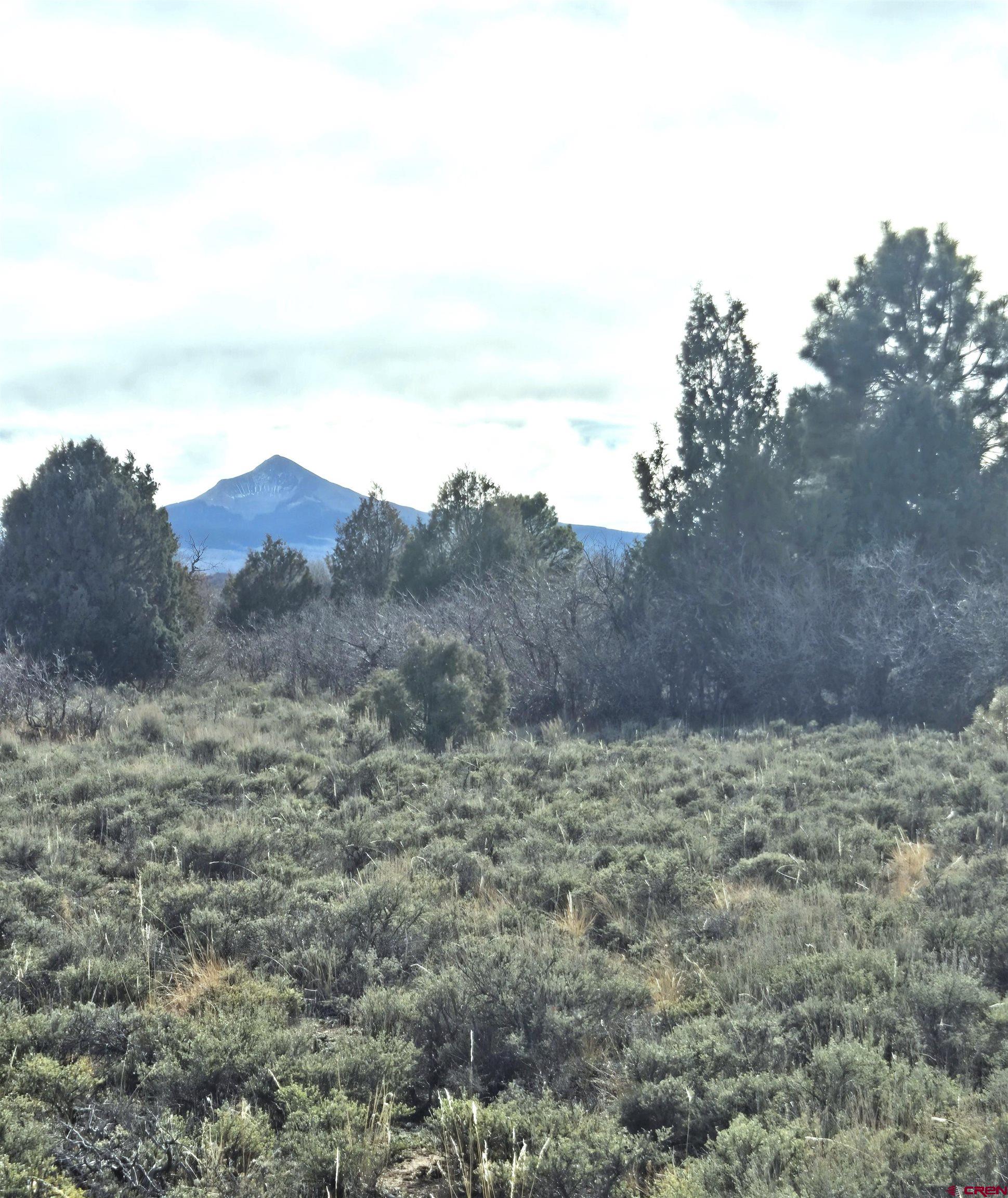 2 A West Beaver Pines Loop Norwood, CO 81423 - Photo 18 of 38 a view of a dry field