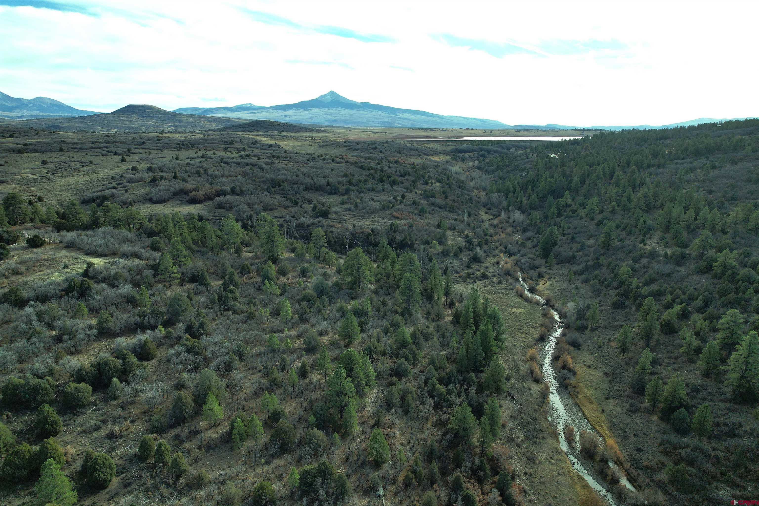 2 A West Beaver Pines Loop Norwood, CO 81423 - Photo 19 of 38 a view of a city with lush green forest