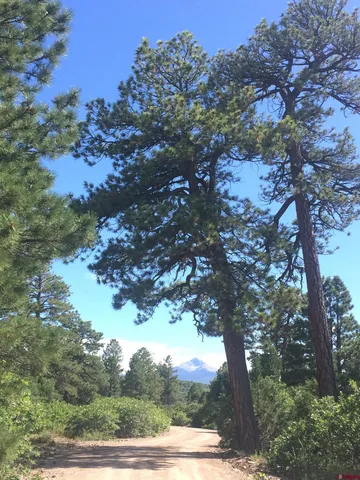 $220,000 | 2 A West Beaver Pines Loop, Norwood, CO 81423