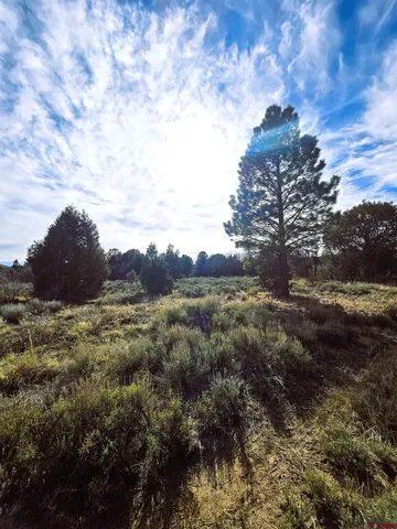 $220,000 | 2 A West Beaver Pines Loop, Norwood, CO 81423