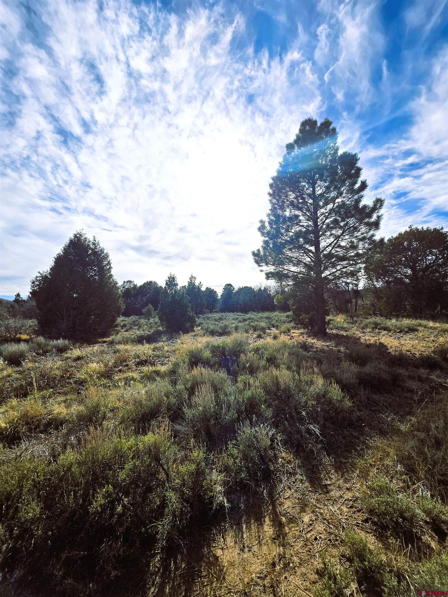 2 A West Beaver Pines Loop Norwood, CO 81423 - Photo 21 of 38