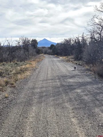 $220,000 | 2 A West Beaver Pines Loop, Norwood, CO 81423