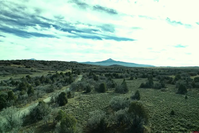 $220,000 | 2 A West Beaver Pines Loop, Norwood, CO 81423