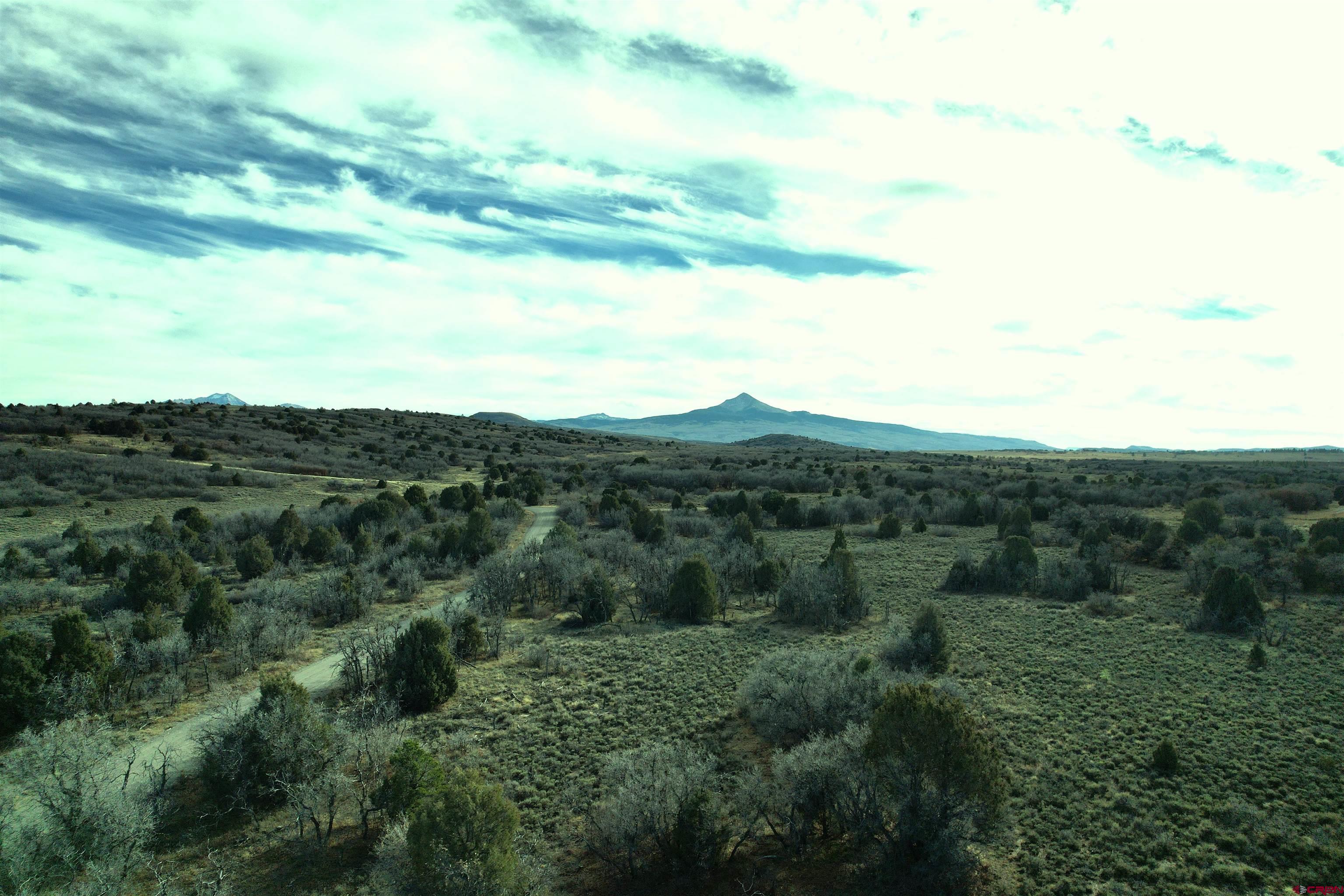2 A West Beaver Pines Loop Norwood, CO 81423 - Photo 25 of 38 a view of a city with lush green forest