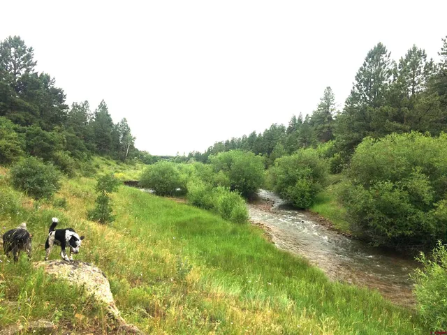 $220,000 | 2 A West Beaver Pines Loop, Norwood, CO 81423