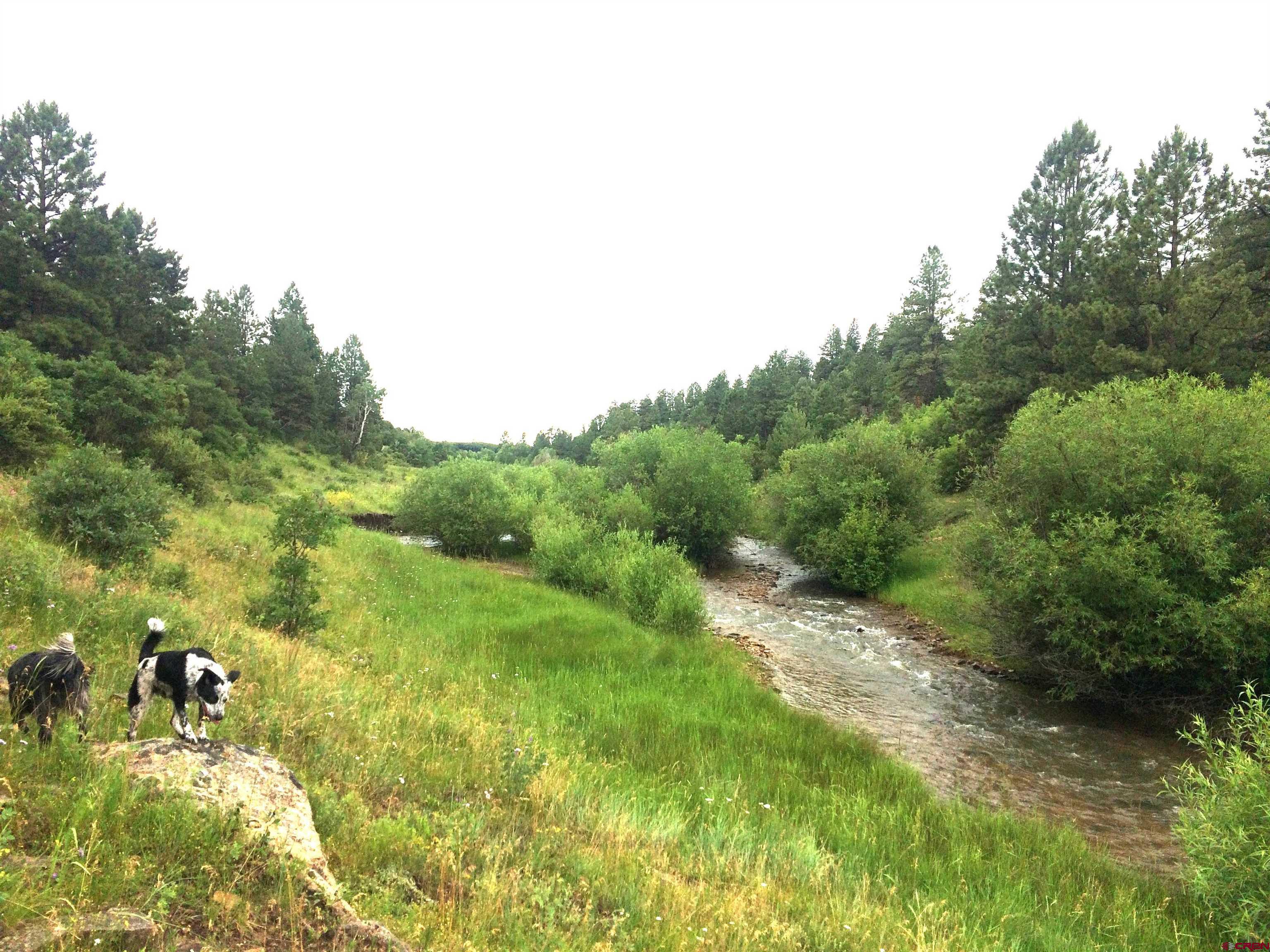 2 A West Beaver Pines Loop Norwood, CO 81423 - Photo 26 of 38 a view of a yard with large trees