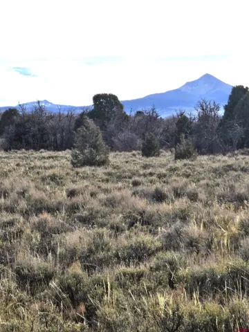 $220,000 | 2 A West Beaver Pines Loop, Norwood, CO 81423