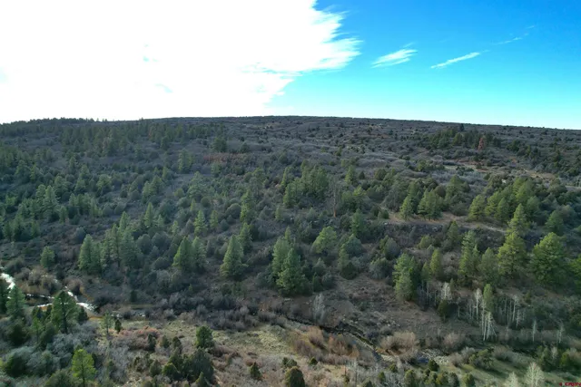 $220,000 | 2 A West Beaver Pines Loop, Norwood, CO 81423