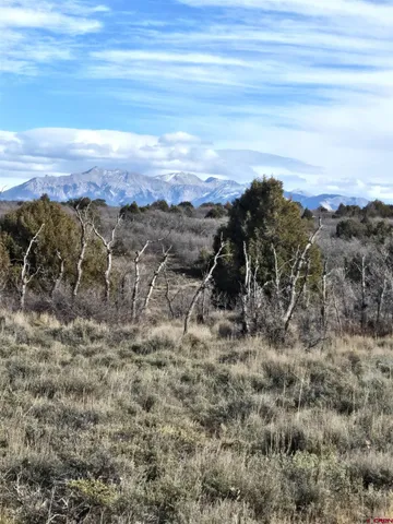 $220,000 | 2 A West Beaver Pines Loop, Norwood, CO 81423