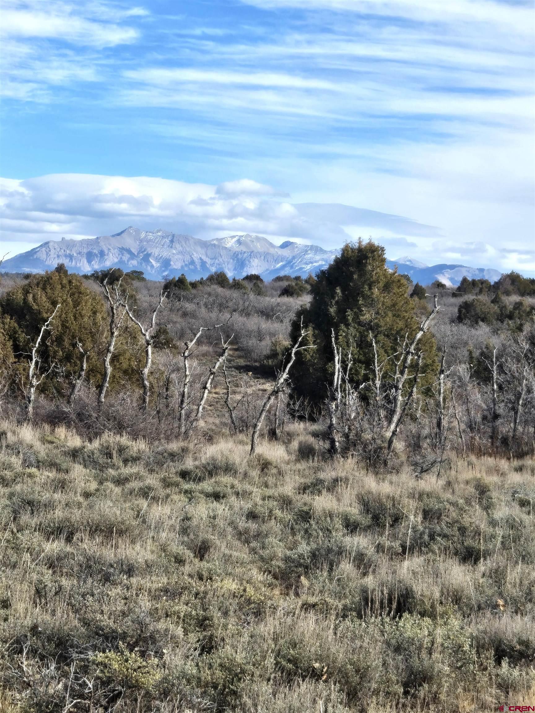2 A West Beaver Pines Loop Norwood, CO 81423 - Photo 29 of 38 a view of a dry yard with green space