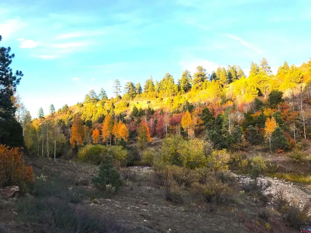 $220,000 | 2 A West Beaver Pines Loop, Norwood, CO 81423