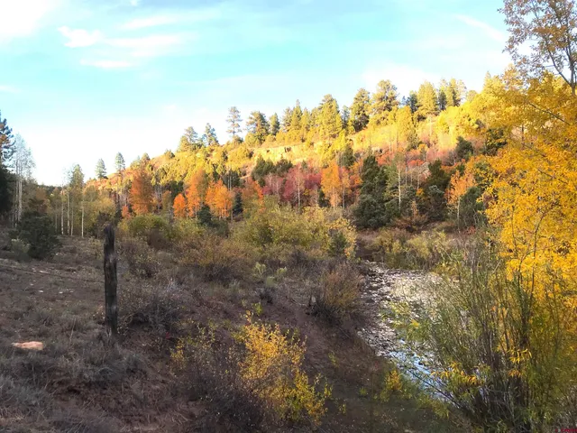 $220,000 | 2 A West Beaver Pines Loop, Norwood, CO 81423