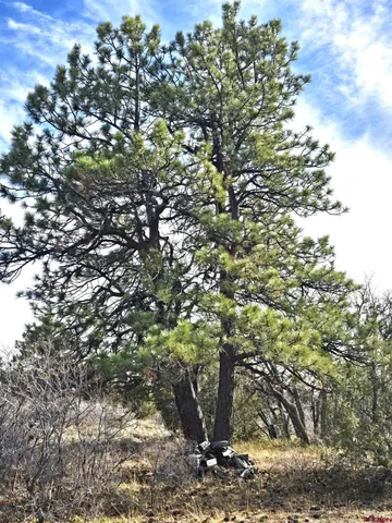 $220,000 | 2 A West Beaver Pines Loop, Norwood, CO 81423