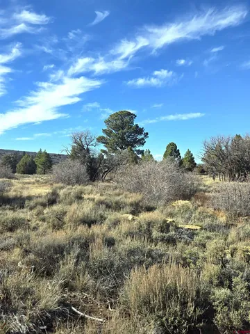 $220,000 | 2 A West Beaver Pines Loop, Norwood, CO 81423