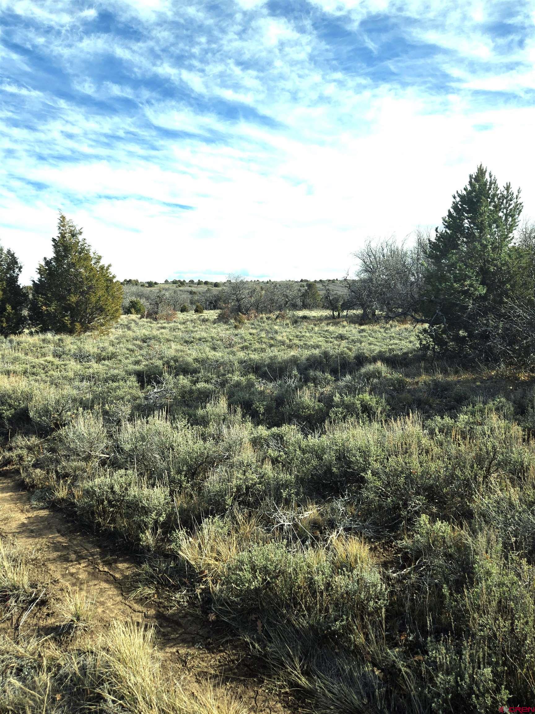2 A West Beaver Pines Loop Norwood, CO 81423 - Photo 33 of 38 a view of a field of grass and trees