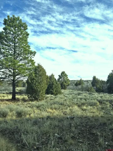 $220,000 | 2 A West Beaver Pines Loop, Norwood, CO 81423