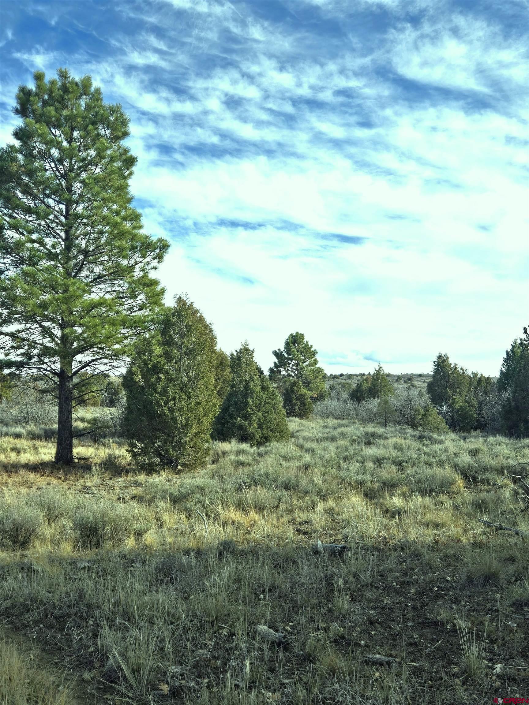 2 A West Beaver Pines Loop Norwood, CO 81423 - Photo 34 of 38 a view of a field of grass and trees