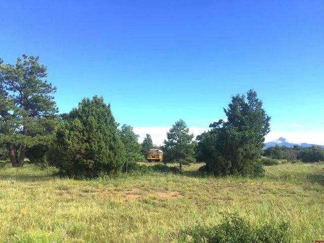 $220,000 | 2 A West Beaver Pines Loop, Norwood, CO 81423