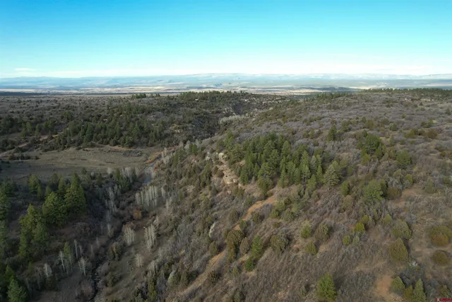 $220,000 | 2 A West Beaver Pines Loop, Norwood, CO 81423