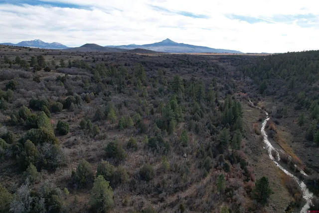 $220,000 | 2 A West Beaver Pines Loop, Norwood, CO 81423