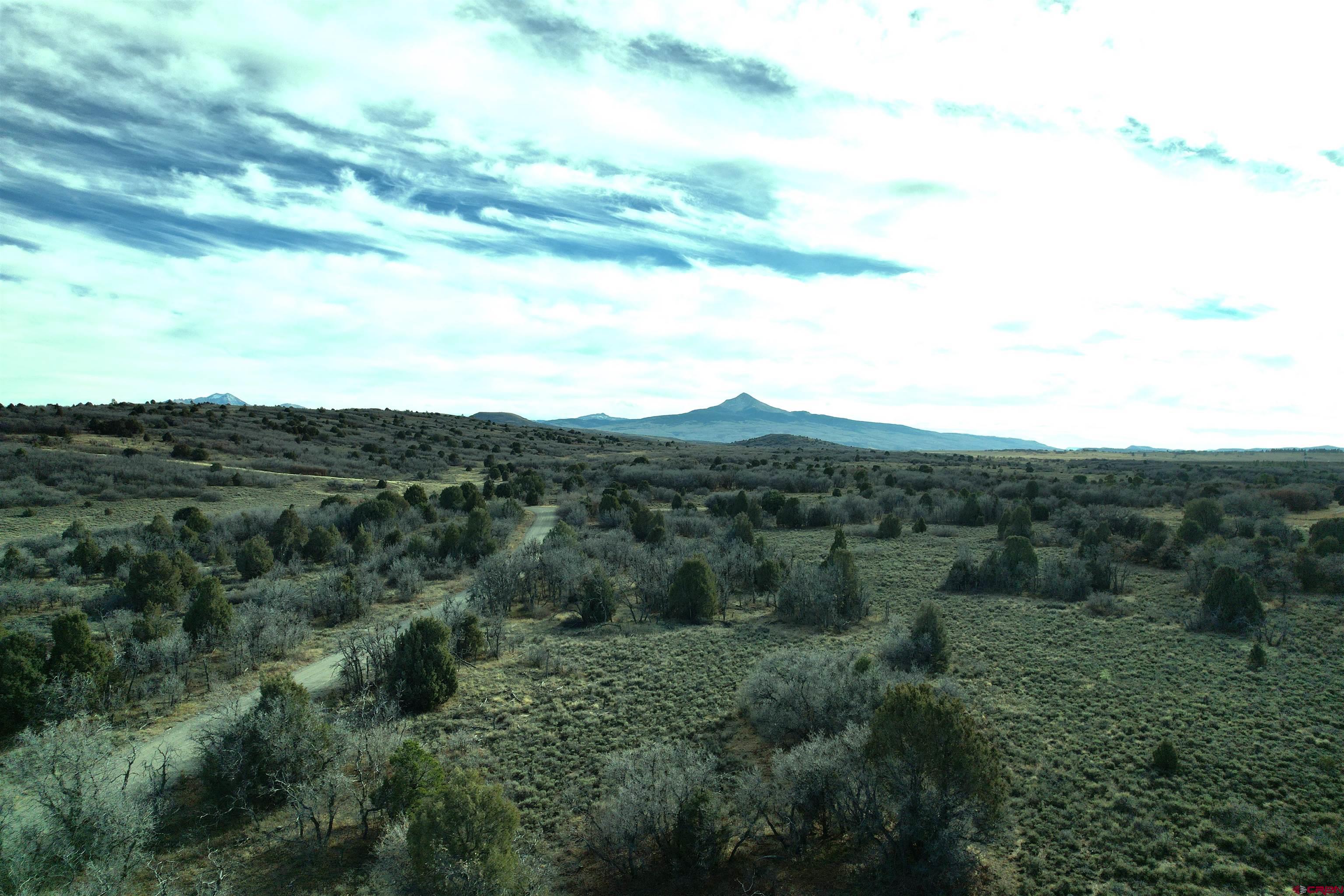 2 A West Beaver Pines Loop Norwood, CO 81423 - Photo 7 of 38 a view of a bunch of trees in a field