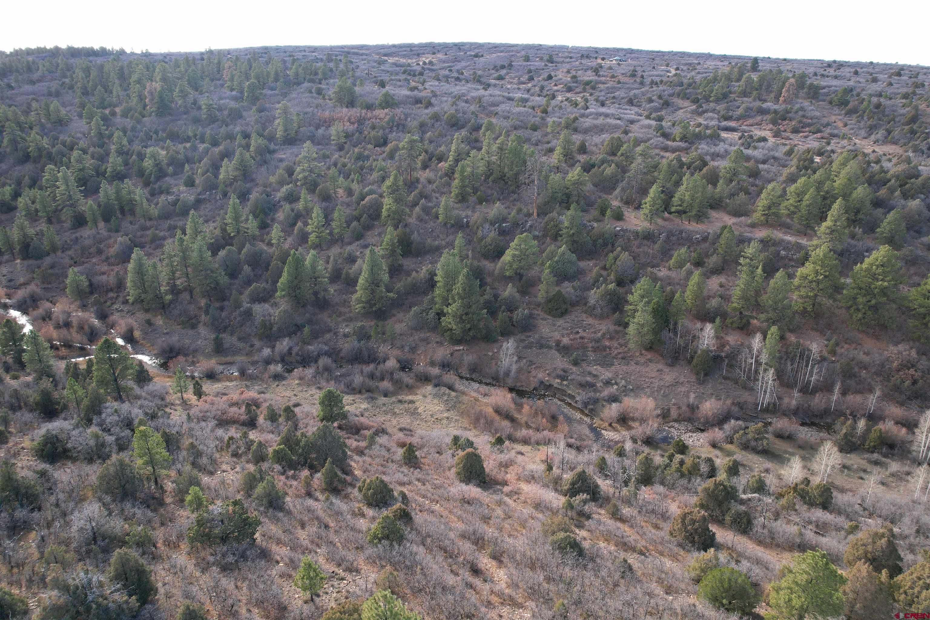 2 A West Beaver Pines Loop Norwood, CO 81423 - Photo 9 of 38 a view of a dry yard