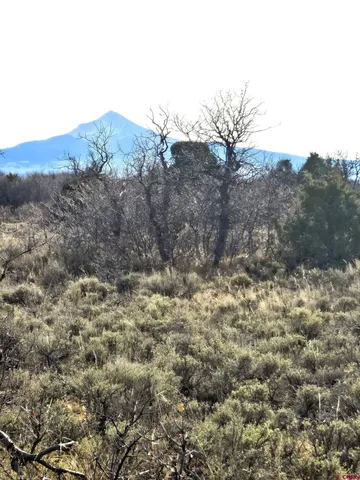 $220,000 | 2 A West Beaver Pines Loop, Norwood, CO 81423