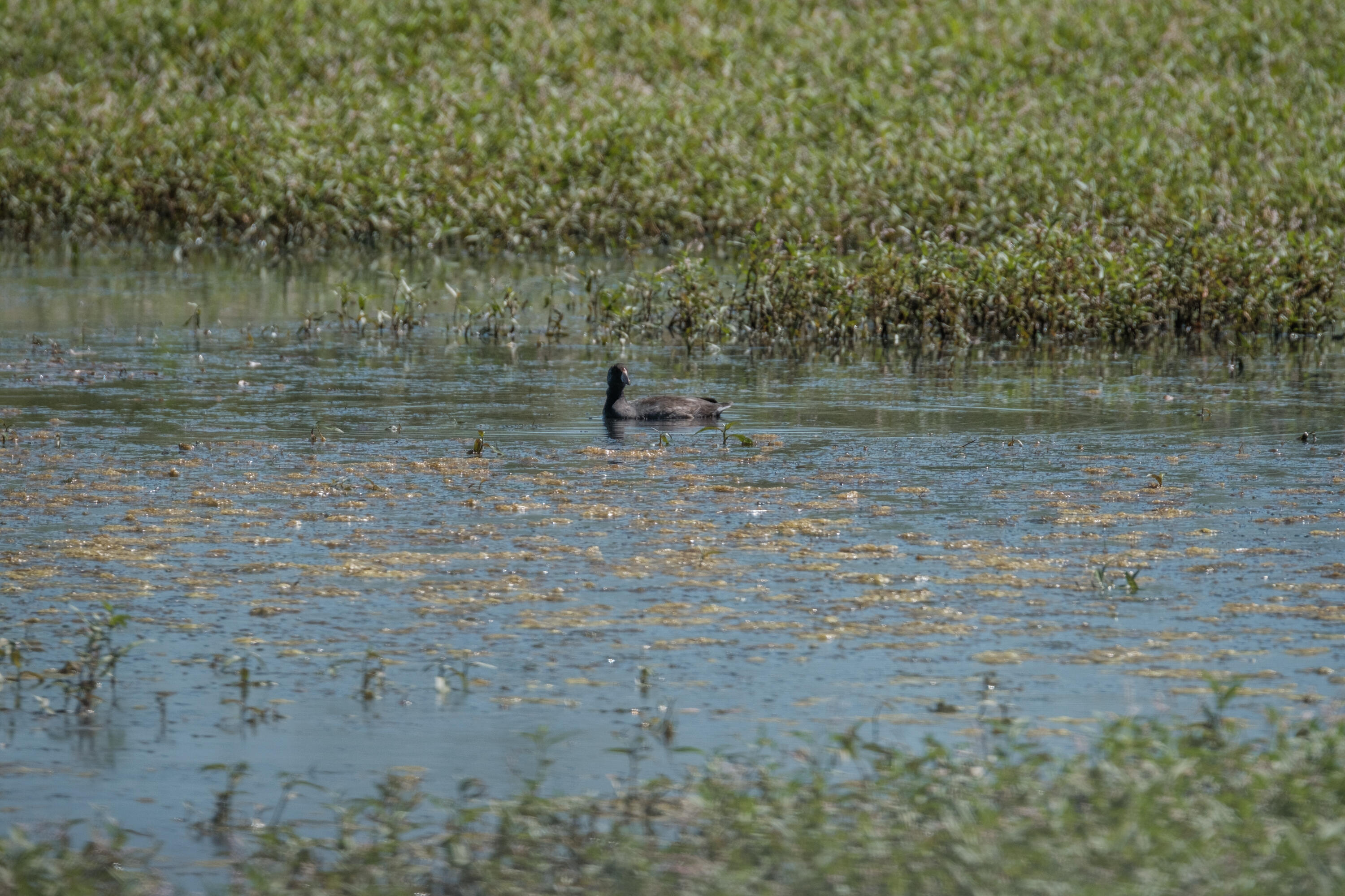 0 Duck Club Scappoose, OR 97056 - Photo 27 of 33