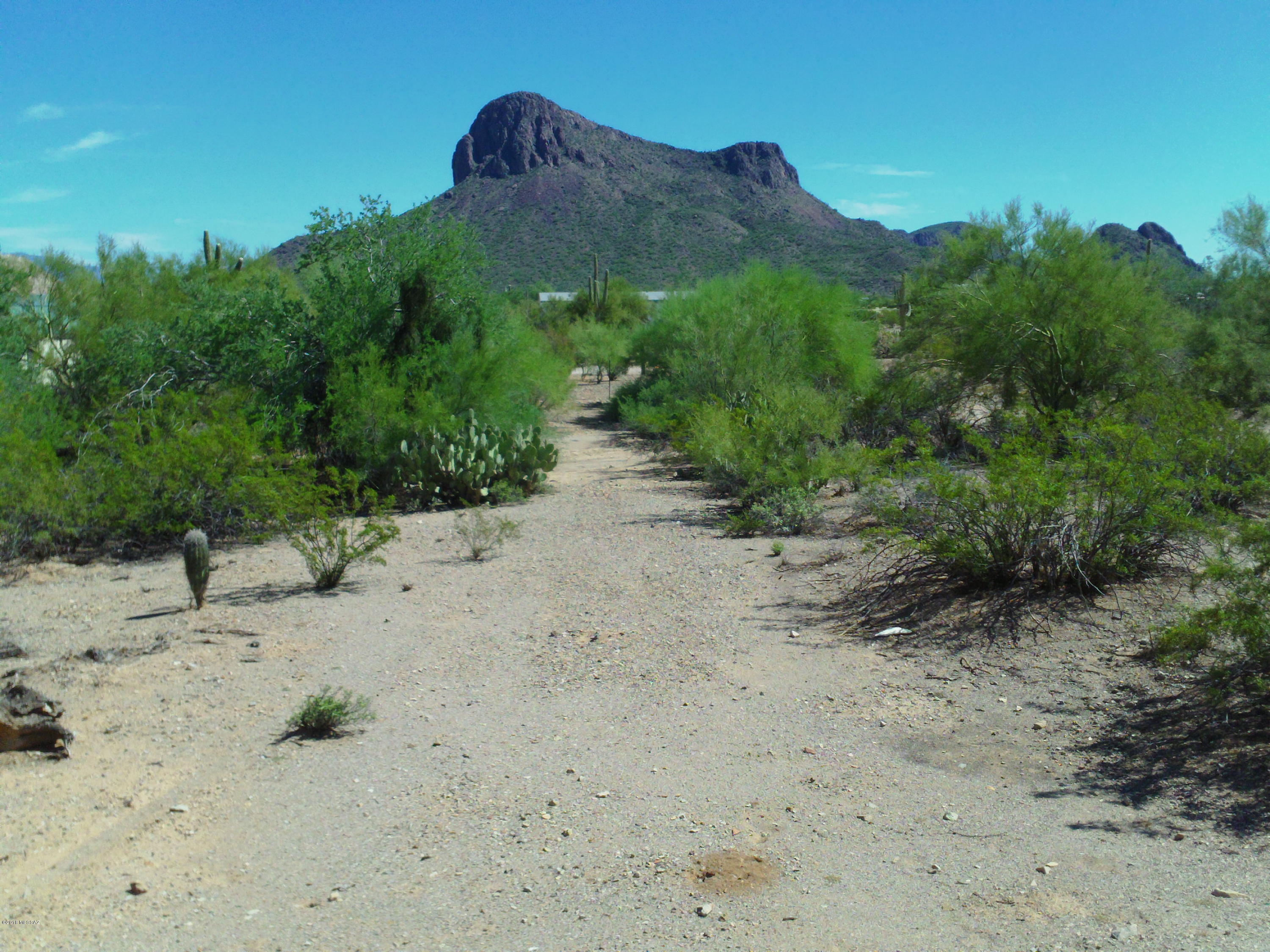 Massingale (roxy Rd) Road Tucson, AZ 85743 - Photo 6 of 11