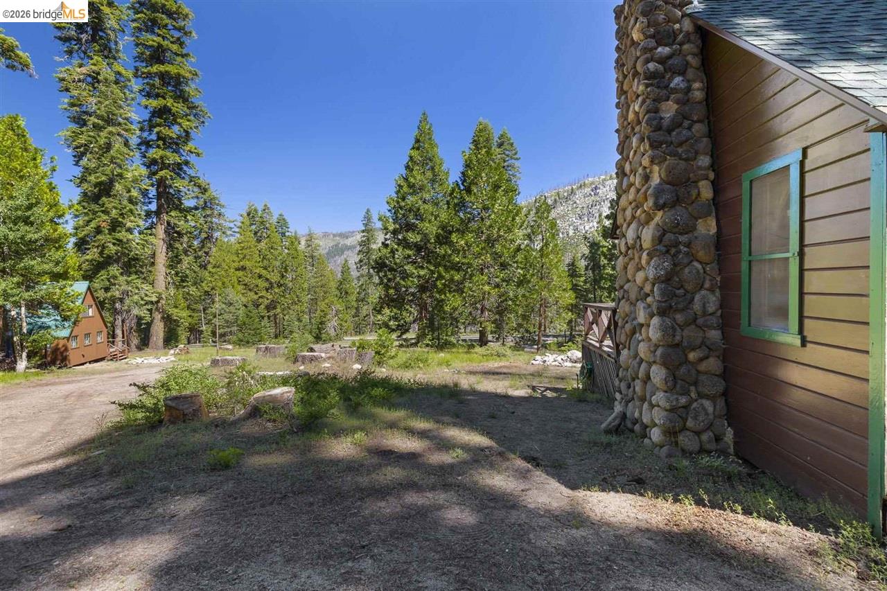 7 Riverside Tract Kyburz, CA 95720 - Photo 23 of 25 a view of a yard with plants and trees