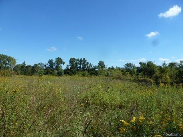 O Judd Road Fowlerville, MI 48836 - Photo 4 of 7 Judd Rd. Rear Clearing