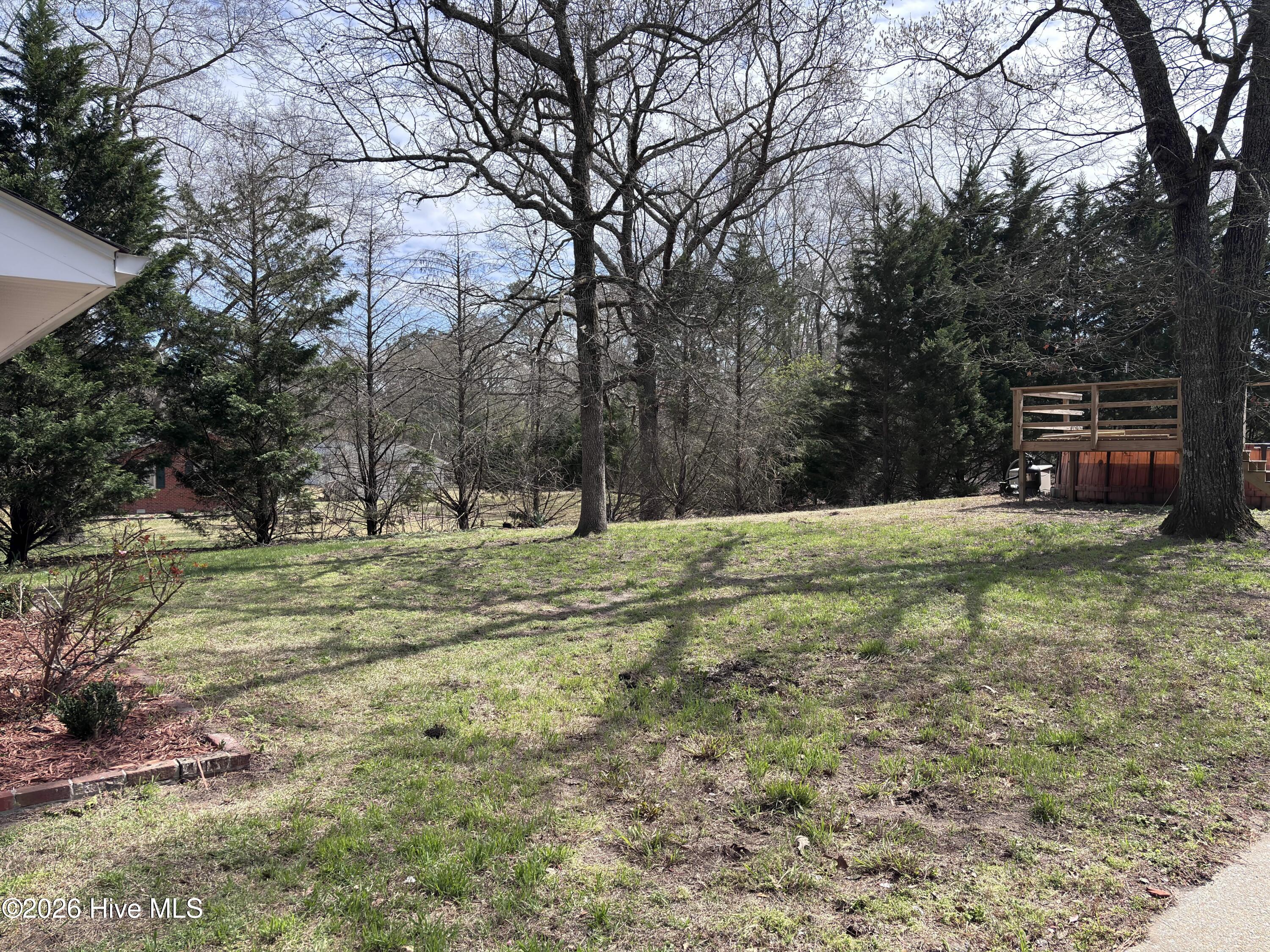 4 Taylor Mill Road Eure, NC 27935 - Photo 57 of 74 Backyard