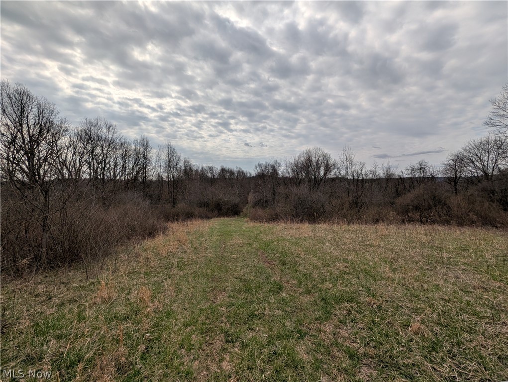 39000 Lees Run Road Cadiz, OH 43907 - Photo 19 of 49