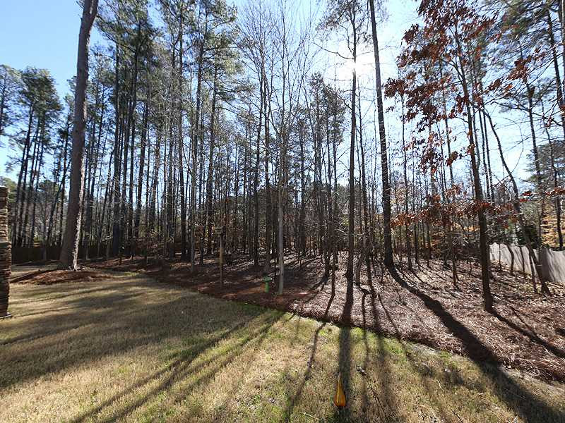 12913 Baybriar Drive Raleigh, NC 27613 - Photo 25 of 25 A view of the large backyard with a huge tree buffer for privacy. Room to play yet enjoy the nature. Backyard