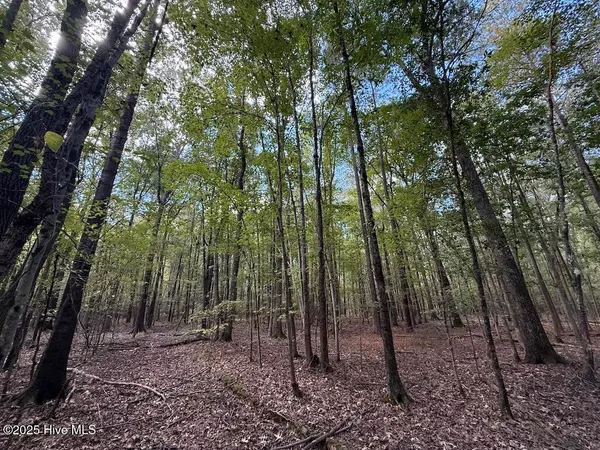 $360,000 | 1945 Bolton Road, Rich Square, NC 27869