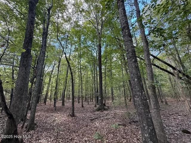 $379,900 | 1945 Bolton Road, Rich Square, NC 27869