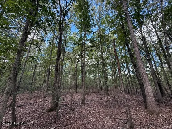 $360,000 | 1945 Bolton Road, Rich Square, NC 27869