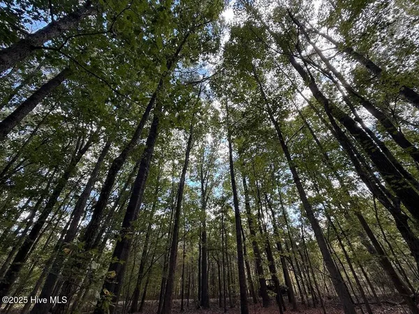 $360,000 | 1945 Bolton Road, Rich Square, NC 27869