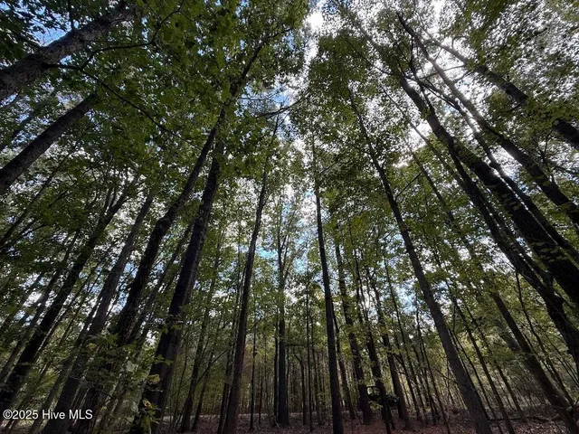 $379,900 | 1945 Bolton Road, Rich Square, NC 27869