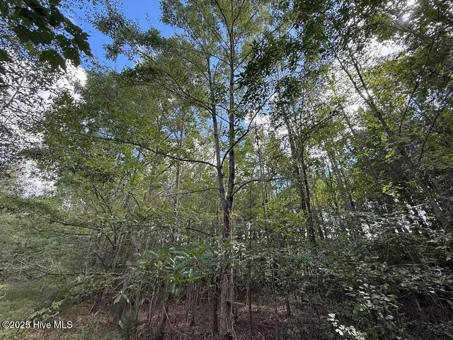 $379,900 | 1945 Bolton Road, Rich Square, NC 27869